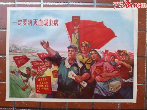 诺拉哪里哪里可以做假证